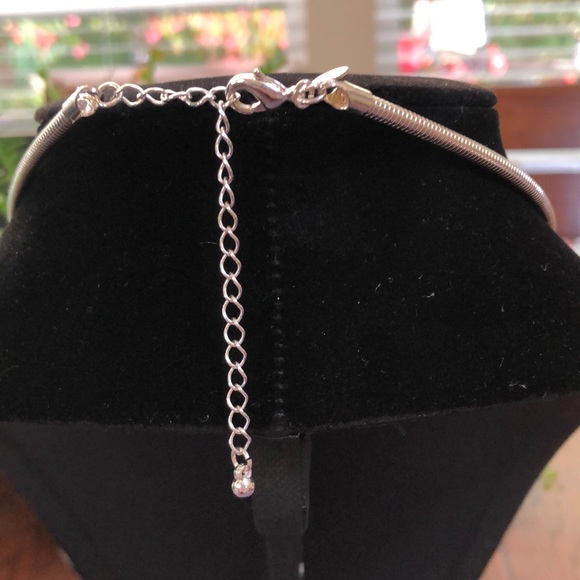 💎Premier Design necklace and charm💎 - Picture 4 of 4